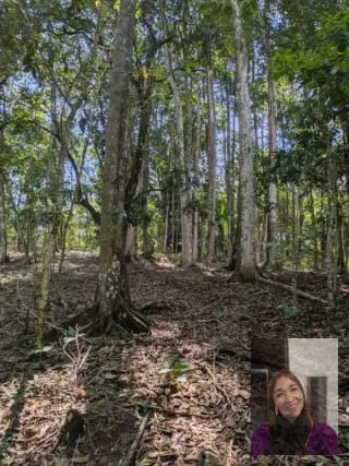 1 terreno rústicos Aldea Buena Vista, Miramar, Livingston — Terreno en Venta en Livingston, Izabal — miniatura 4 de 10