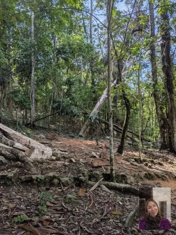 1 terreno rústicos Aldea Buena Vista, Miramar, Livingston — Terreno en Venta en Livingston, Izabal — foto 3 de 10