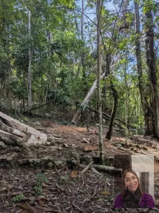 1 terreno rústicos Aldea Buena Vista, Miramar, Livingston — Terreno en Venta en Livingston, Izabal — miniatura 3 de 10