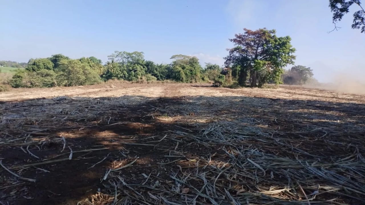 Terreno 43 Manzanas Escuintla — Finca en Venta en La Democracia, Escuintla — foto 5 de 5