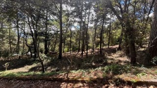 Venta de terreno en San Lucas Aldea El Choacorral — Terreno en Venta en San Lucas Sacatepéquez, Sacatepéquez — miniatura 1 de 4