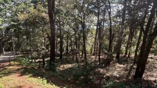 Venta de terreno en San Lucas Aldea El Choacorral — Terreno en Venta en San Lucas Sacatepéquez, Sacatepéquez — miniatura 4 de 4