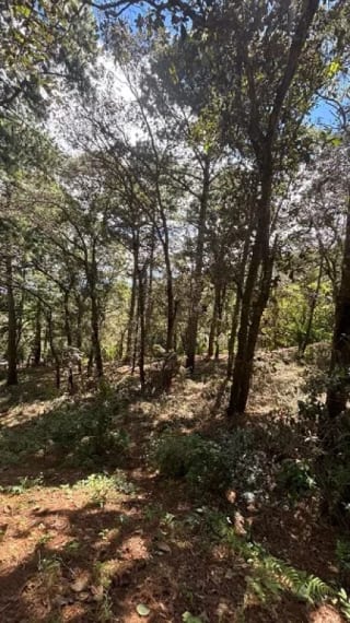 Venta de terreno en San Lucas Aldea El Choacorral — Terreno en Venta en San Lucas Sacatepéquez, Sacatepéquez — miniatura 3 de 4