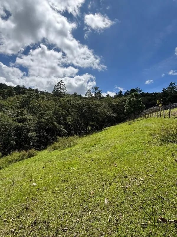 Terreno en venta en Huehuetenango salida a carretera — Terreno en Venta en Huehuetenango, Huehuetenango — foto 16 de 17
