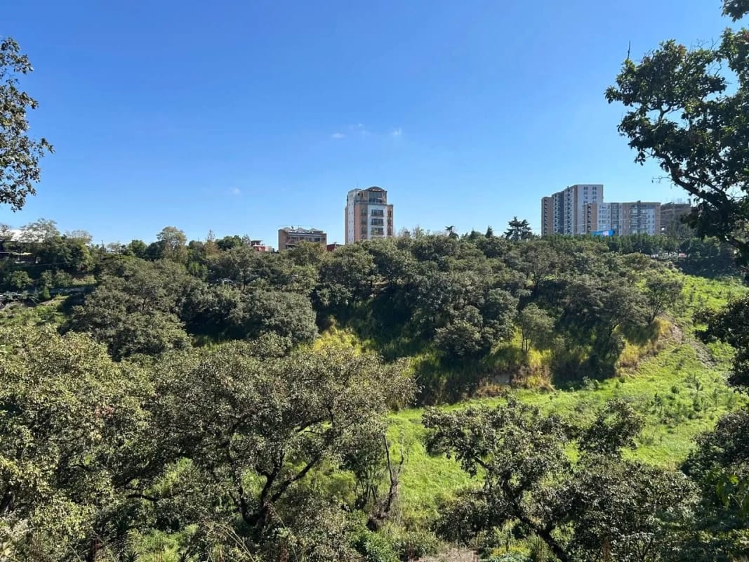 Vendo Terreno en Zona 10, Oakland 1 (copia) — Terreno en Venta en Oakland I, Zona 10, Guatemala, Ciudad — foto 4 de 5