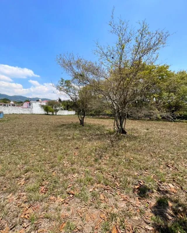 Terreno en Venta San Cristobal, Sector A6 Dentro de Garita — Terreno en Venta en Zona 8 Mixco, Guatemala, Ciudad — foto 6 de 9