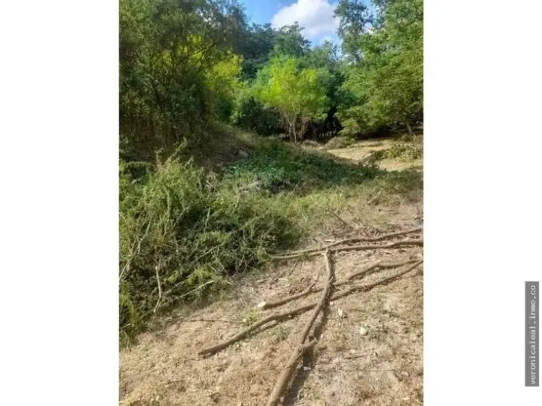 Finca en venta terreno en Zacapa Río Hondo Jumuzna — Terreno en Venta en Rio Hondo, Zacapa — foto 4 de 6