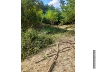 Finca en venta terreno en Zacapa Río Hondo Jumuzna — Terreno en Venta en Rio Hondo, Zacapa — miniatura 4 de 6