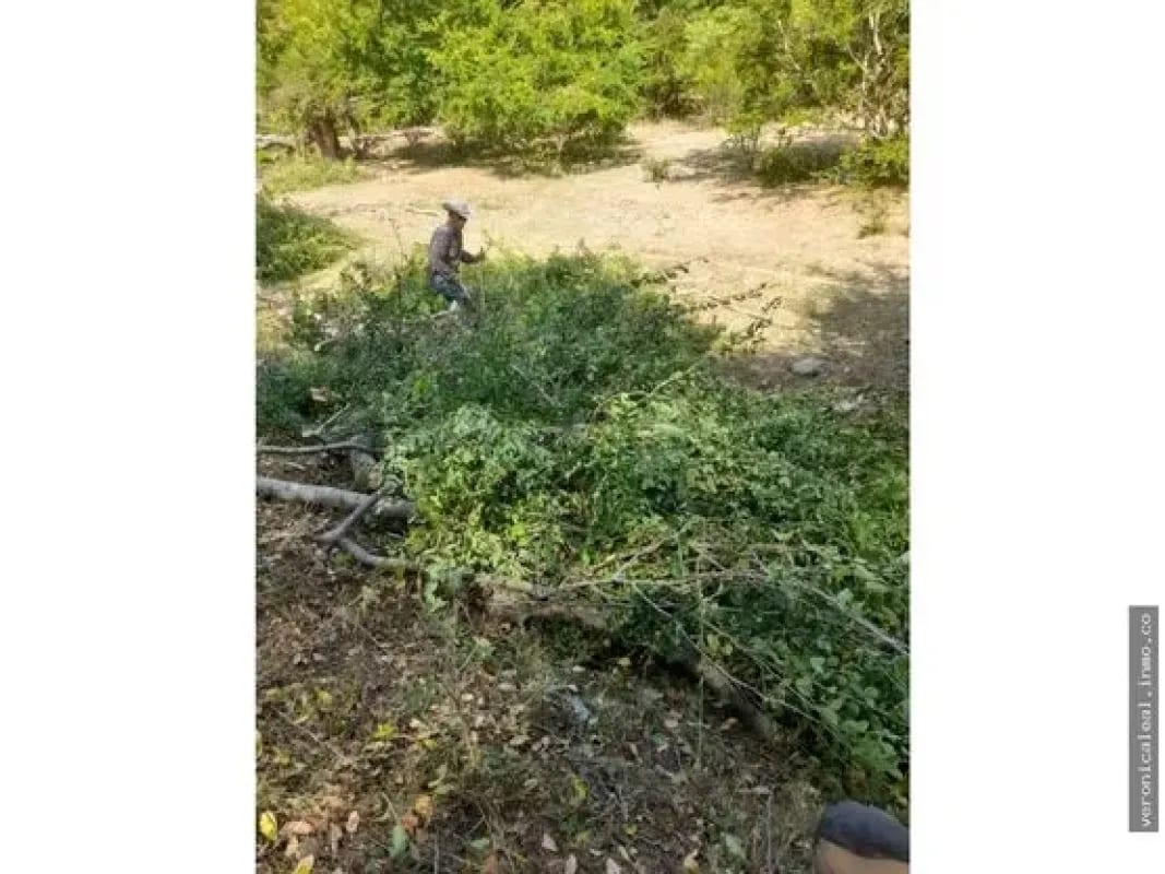 Finca en venta terreno en Zacapa Río Hondo Jumuzna — Terreno en Venta en Rio Hondo, Zacapa — foto 5 de 6