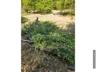 Finca en venta terreno en Zacapa Río Hondo Jumuzna — Terreno en Venta en Rio Hondo, Zacapa — miniatura 5 de 6